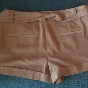 Brown Express Shorts NWT